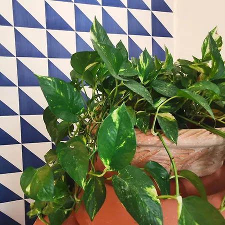 'a Casetta - Sferracavallo Apartment *